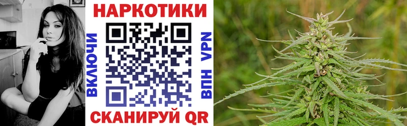 Где найти наркотики Шали Бутират  Меф мяу мяу  ГАШИШ  Псилоцибиновые грибы  Кокаин  Alpha-PVP 
