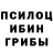 Галлюциногенные грибы Psilocybe hungry_ show
