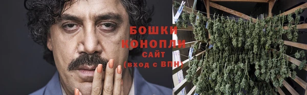 твердый Белокуриха