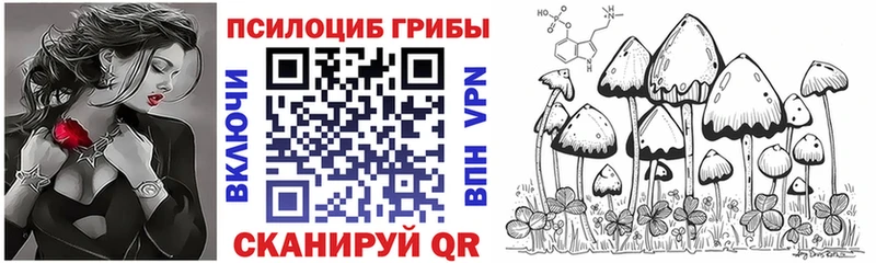 купить наркотик  Шали  Псилоцибиновые грибы Cubensis 